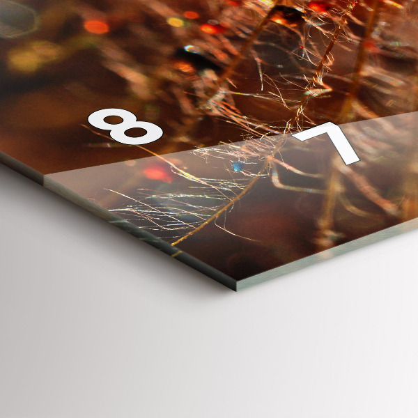 Zegar ścienny poziomy Dmuchawiec z rosą