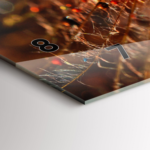 Zegar ścienny poziomy Dmuchawiec z rosą