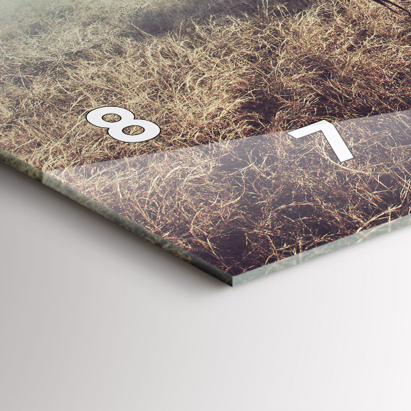 Zegar ścienny poziomy Zebra – Abstrakcja