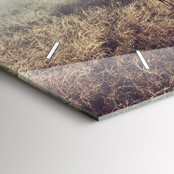 Zegar ścienny poziomy Zebra – Abstrakcja