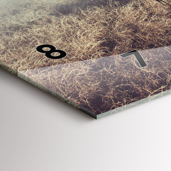 Zegar ścienny poziomy Zebra – Abstrakcja