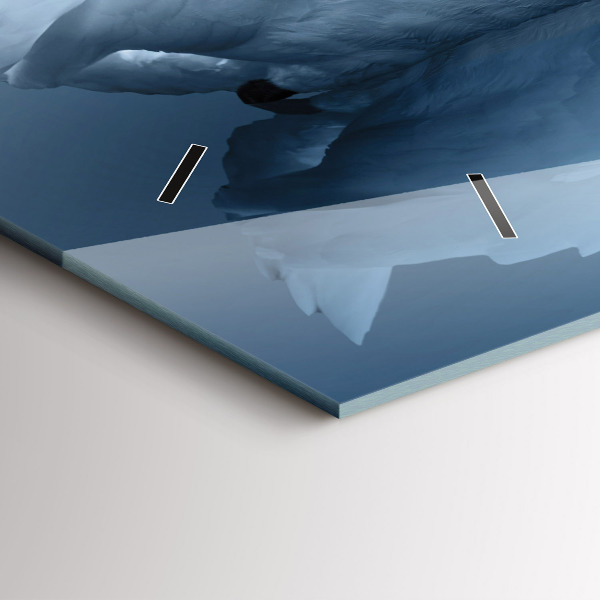 Zegar ścienny poziomy Łabędzie w serce