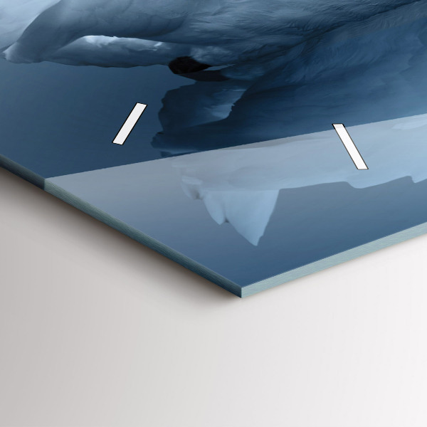 Zegar ścienny poziomy Łabędzie w serce