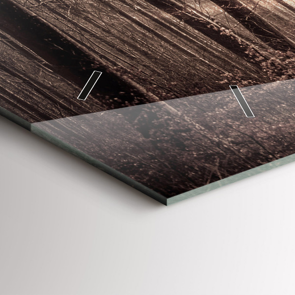 Zegar ścienny poziomy Ścieżka leśna w sepii