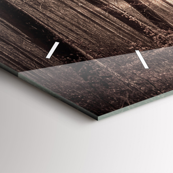 Zegar ścienny poziomy Ścieżka leśna w sepii