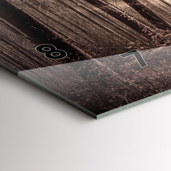 Zegar ścienny poziomy Ścieżka leśna w sepii