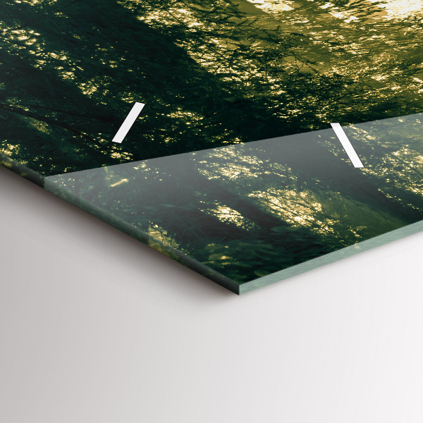 Zegar ścienny poziomy Promienie słoneczne Las