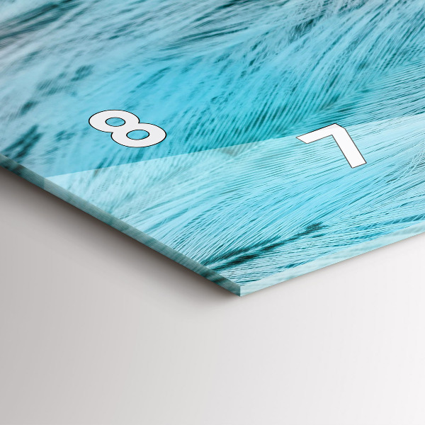 Zegar ścienny poziomy Kolorowe pióra