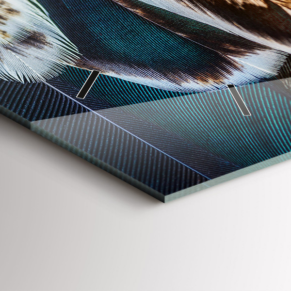 Zegar ścienny poziomy Jasnobrązowe pióra ptaka