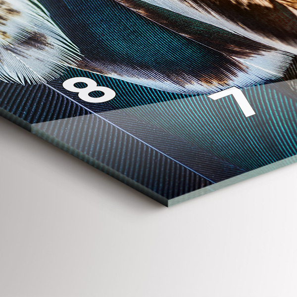 Zegar ścienny poziomy Jasnobrązowe pióra ptaka