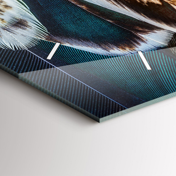 Zegar ścienny poziomy Jasnobrązowe pióra ptaka