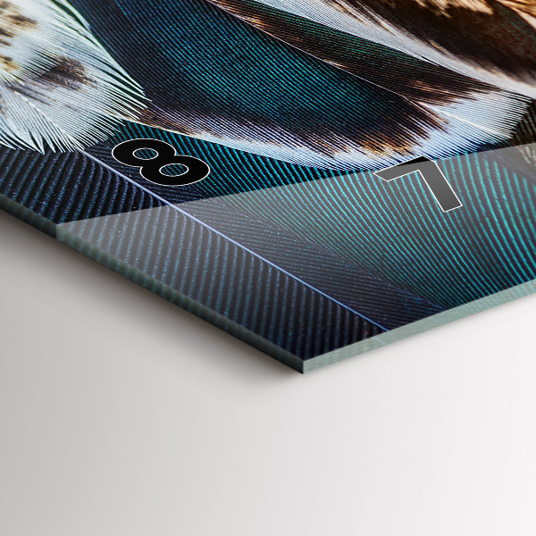 Zegar ścienny poziomy Jasnobrązowe pióra ptaka