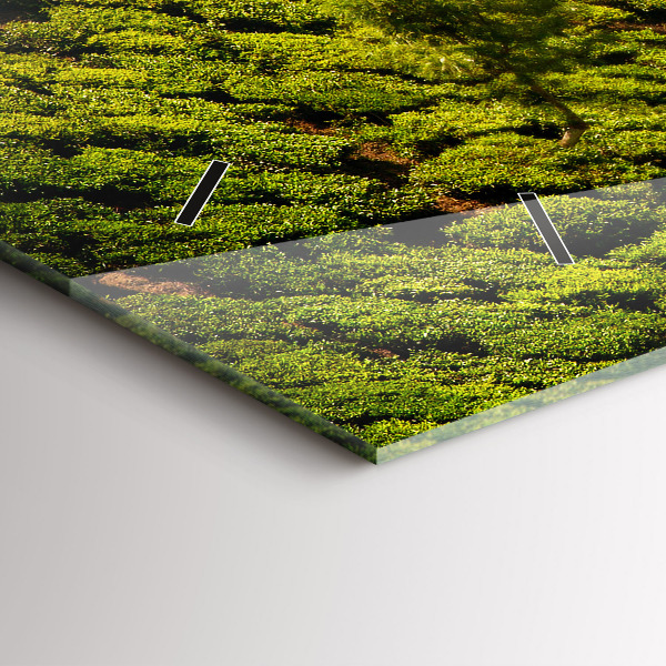 Zegar ścienny poziomy Wzgórze Herbaty