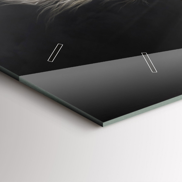 Zegar ścienny poziomy Galopujący koń