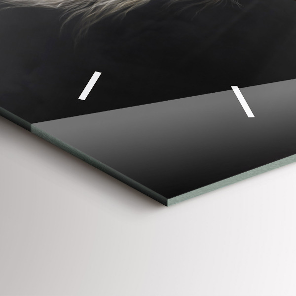 Zegar ścienny poziomy Galopujący koń