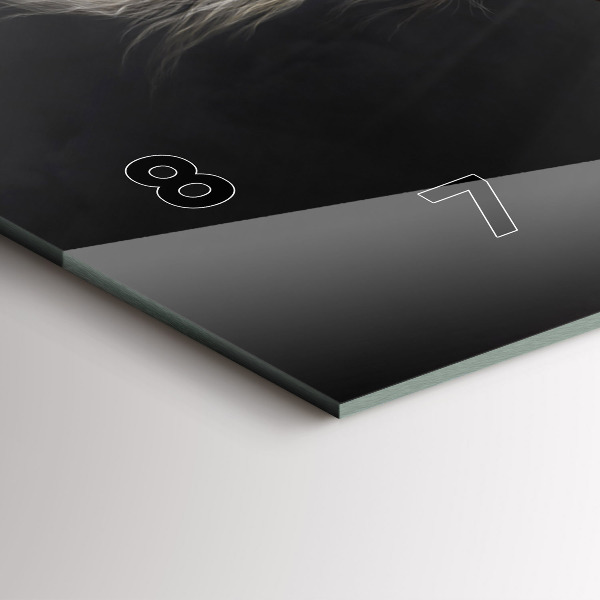 Zegar ścienny poziomy Galopujący koń