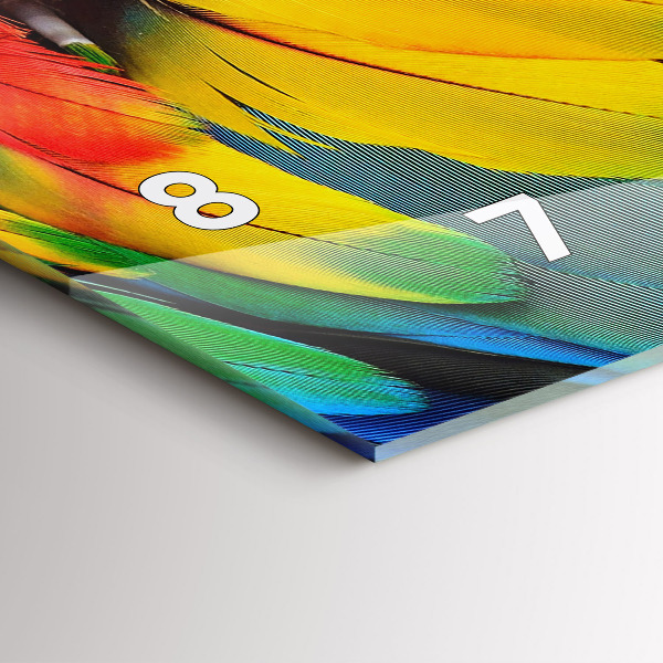 Zegar szklany poziomy Ptak Ara Kolorowe Skrzydła