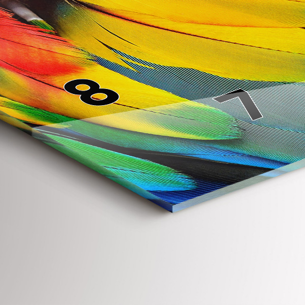 Zegar szklany poziomy Ptak Ara Kolorowe Skrzydła