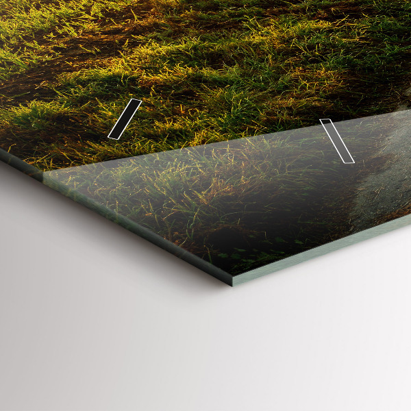 Zegar szklany poziomy Mgła o wschodzie słońca