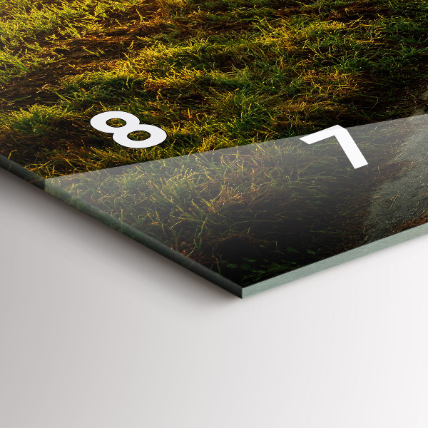 Zegar szklany poziomy Mgła o wschodzie słońca