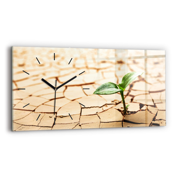 Zegar ścienny poziomy Roślina w wysuszonej ziemi