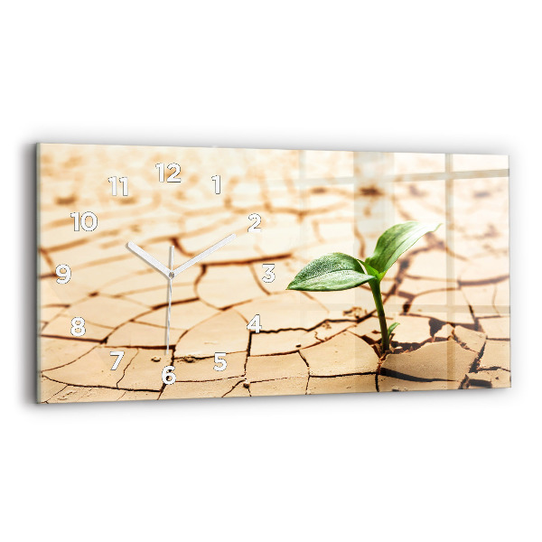 Zegar ścienny poziomy Roślina w wysuszonej ziemi