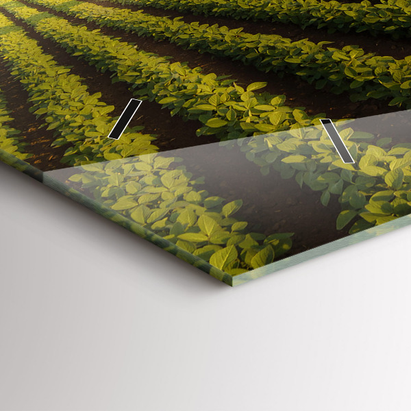 Zegar szklany poziomy Ciągnik opryskujący pole