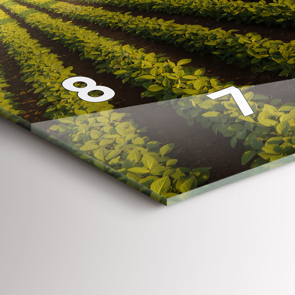 Zegar szklany poziomy Ciągnik opryskujący pole