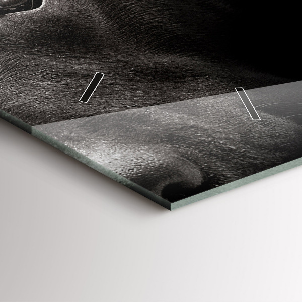 Zegar ścienny poziomy Pies i kot szkocki