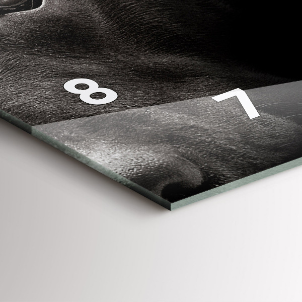 Zegar ścienny poziomy Pies i kot szkocki