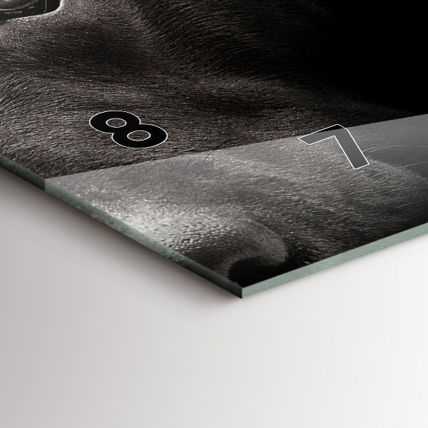 Zegar ścienny poziomy Pies i kot szkocki