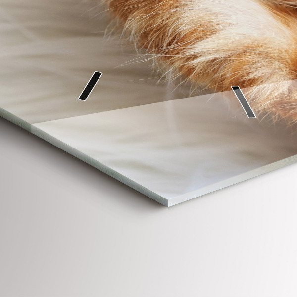 Zegar ścienny poziomy Mały Kotek Śpiący