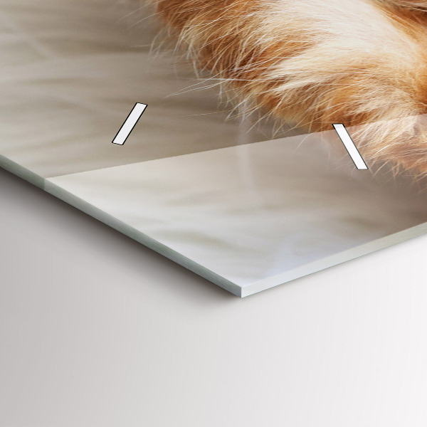 Zegar ścienny poziomy Mały Kotek Śpiący