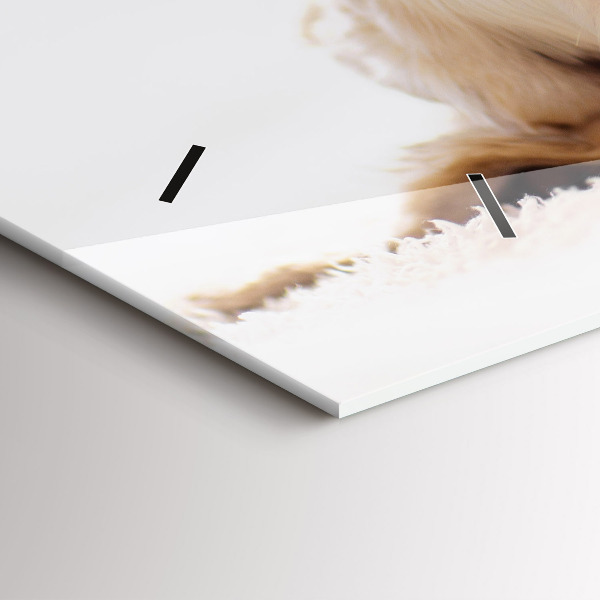 Zegar szklany poziomy Śpiący kot i pies