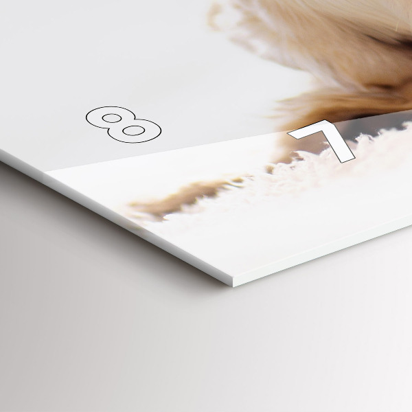 Zegar szklany poziomy Śpiący kot i pies