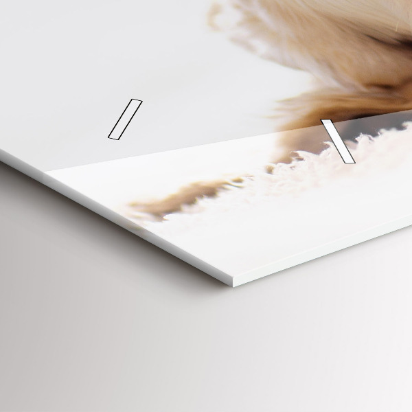 Zegar szklany poziomy Śpiący kot i pies