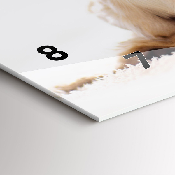 Zegar szklany poziomy Śpiący kot i pies