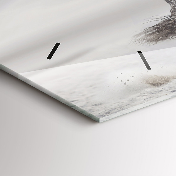 Zegar ścienny poziomy Galopujący biały koń