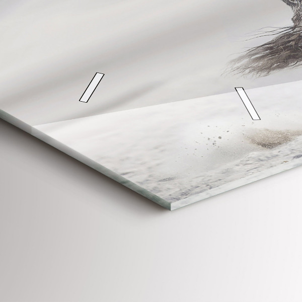 Zegar ścienny poziomy Galopujący biały koń