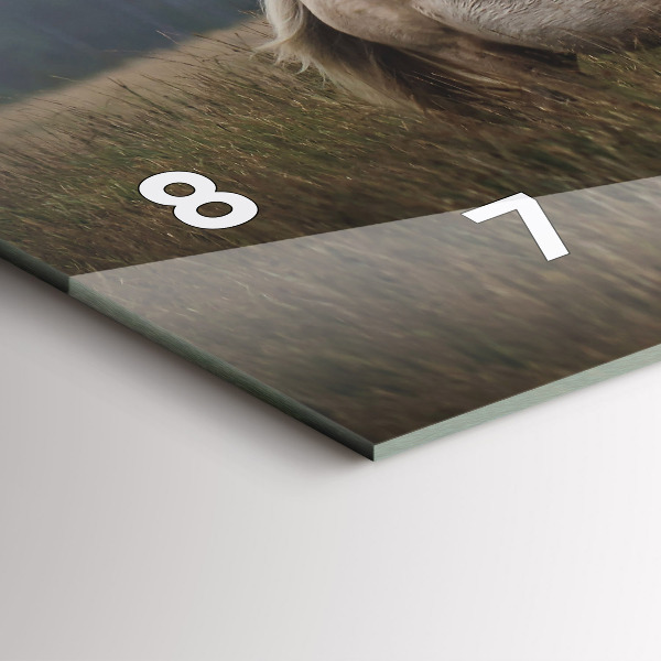 Zegar poziomy Konie w galopie