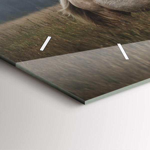 Zegar poziomy Konie w galopie