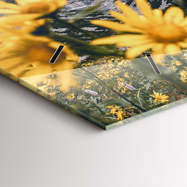 Zegar poziomy Łąka kwiaty w górach