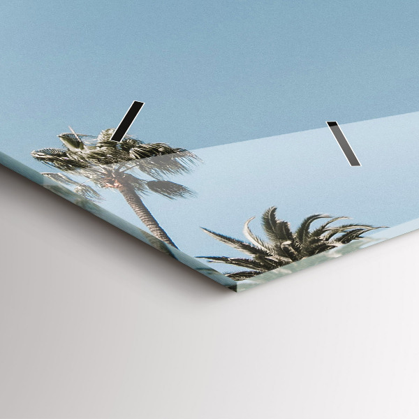 Zegar poziomy Palmy w Los Angeles