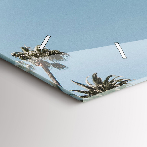 Zegar poziomy Palmy w Los Angeles