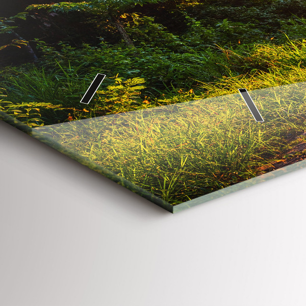 Zegar ścienny poziomy Park Surat Thani Tajlandia