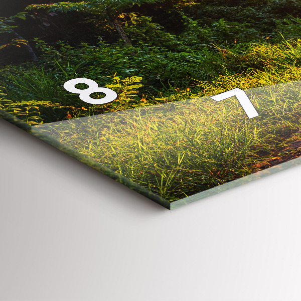 Zegar ścienny poziomy Park Surat Thani Tajlandia