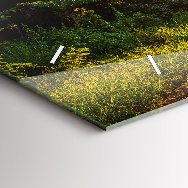 Zegar ścienny poziomy Park Surat Thani Tajlandia