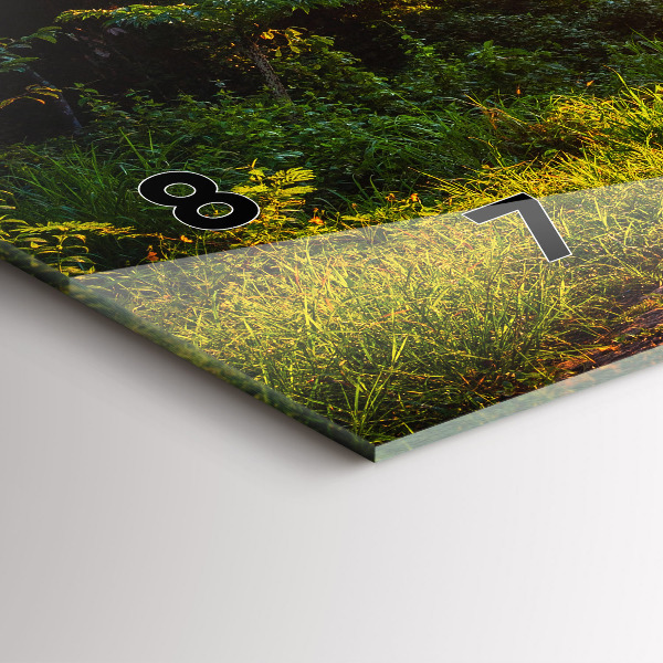 Zegar ścienny poziomy Park Surat Thani Tajlandia