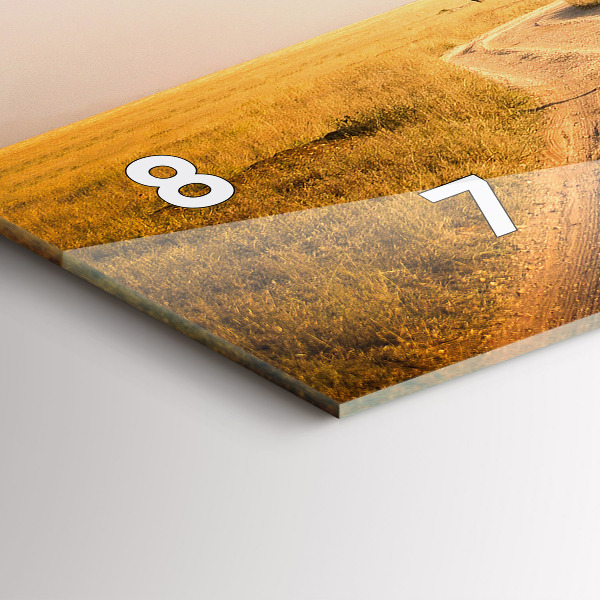 Zegar ścienny poziomy Krajobraz Afryki