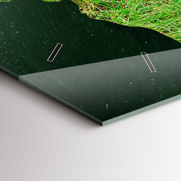 Zegar ścienny poziomy Trawiasta mapa świata